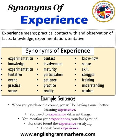 an experience synonym|words to describe experiences.